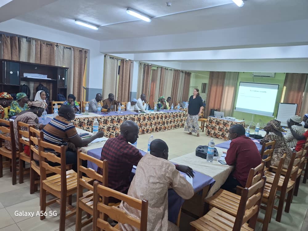 C:\Users\DELL\Pictures\Screenshots\FORMATION 2 BIS.jpeg